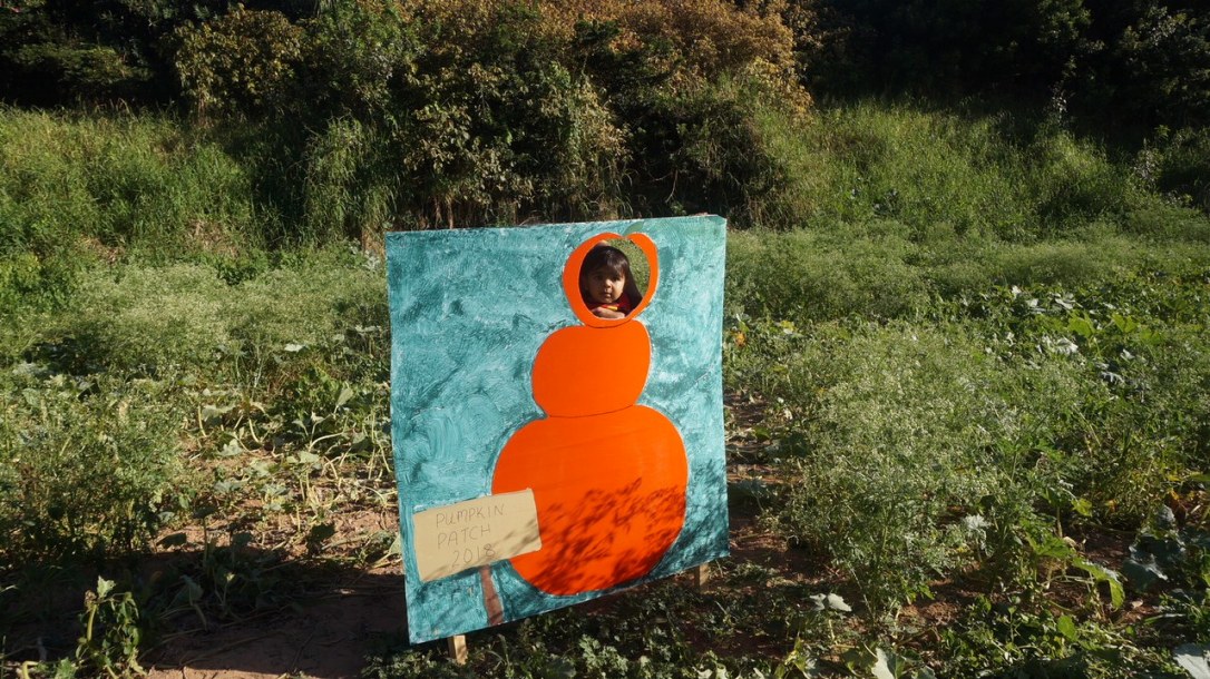 LRG_DSC00383 (1).JPG